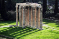 The columns of the Temple of Zeus