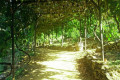 The Botanical Gardens in Crete hosted many plant species from around the world