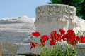Corinthian marble column and poppys, Corinth