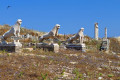The iconic Lions of Delos