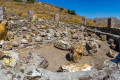 The fossilized trees in Lesvos' famous Petrified Forest