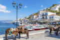 Donkeys on the waterfront of Hydra