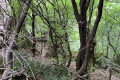 Hiking trails can take you between monasteries if you are fit and feel adventurous