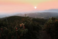 Sunset on the vineyards in Manousakis Nostos Winery