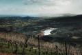 Panoramic view outside the Manousakis Winery