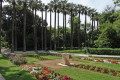 The Athens National Gardens