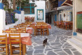 Charming alley with a traditional tavern in Chora, Naxos