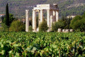 Remnants of ancient Nemea among the vineyards