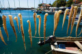 Octopus tentacles drying in the sun, Lesvos island