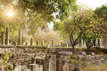 Ancient columns in Ancient Olympia, the site where the Olympic Games were held in classical times