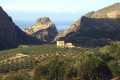 Panoramic view of the groves surrounsing the Biolea Estate