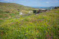 Pigeon house, Tinos