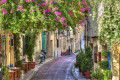 Picturesque flowery alley in Plaka area, Athens