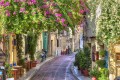 Picturesque flowery alley in Plaka area, Athens