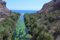 The banks of the Preveli river are laid by palm trees to give an exotic feel to this Cretan landscape