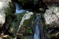 Waterfall in the Valley of the Butterflies, a wonderful wild life preserve in Rhodes