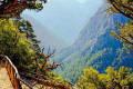 View of the Gorge from above