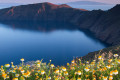 Extraterrestial view of the isolated volcanic cliffs embellished with flower beds and the morning glory of the peaceful sea, Santorini island