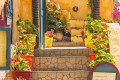 Picturesque Greek cafeteria entrance, Santorini island