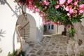 Whitewashed slated alley with flowers, Santorini island