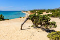 The beach of Alyko in Naxos is next to a stunning cedar forest