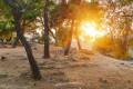 Sunset on the ruins of the Sanctuary of Poseidon in Poros