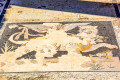 Mosaic in the House of Dionysus in Delos