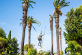 Statue of Achilles in the Achilleion Palace