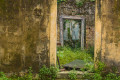 The gardens at Mon Repos