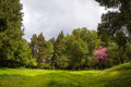 The gardens at Mon Repos