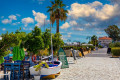 Exotic street on Lixouri in Cephalonia