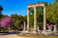 Columns in the site of ancient Olympia