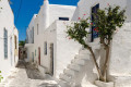 Whitewashed houses in typical Cycladic fashion in Paroikia