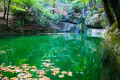 Serene pond in the Valley of the Butteflies in Rhodes