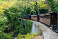 Traditional train on Mount Pelion