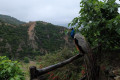 The Botanical Gardens in Crete are a great place to reunite with nature