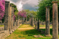 Columns in Ancient Olympia during the springtime