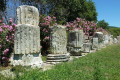 The ruins of the Temple in the ancoent town of Messon in Lesvos