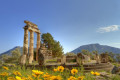 The Sanctuary of Athena Pronaia in Delphi
