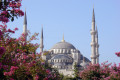 Famous Blue Mosque sightseeing also known as Sultanahmet Camii in Turkish, located in Istanbul, Turkey
