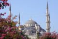 Famous Blue Mosque also known as Sultanahmet Camii in Turkish, located in Istanbul, Turkey