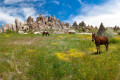 The Sandstone Valley in Cappadocia