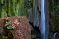 natural waterfall in Pamukkale, near modern day Denizli