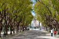 Beautiful street near the National Gardens