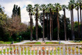 The National Gardens near Syntagma Square in the center of Athens