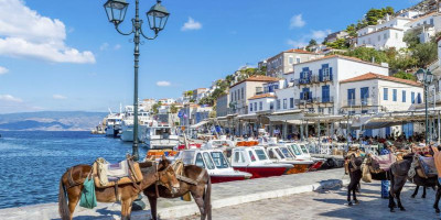 Donkeys on the waterfront of Hydra