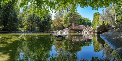 Take a beautiful walk through the National Gardens of Athens