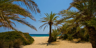The palm beach of Vai is one of the largest attractions of the Mediterranean island of Crete