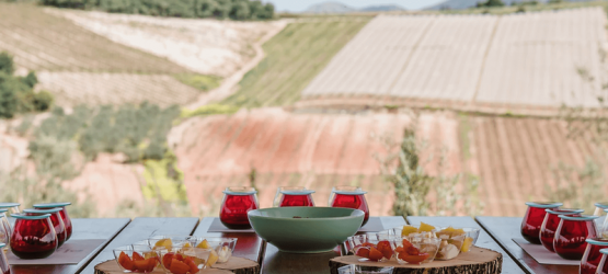 Olive oil tasting with an olive grove in the backdrop