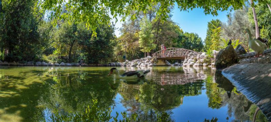 Take a beautiful walk through the National Gardens of Athens